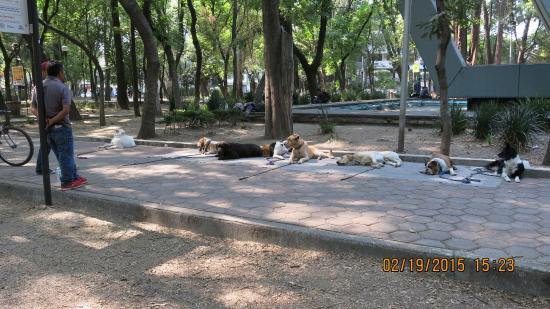 Castillo de Chapultepec